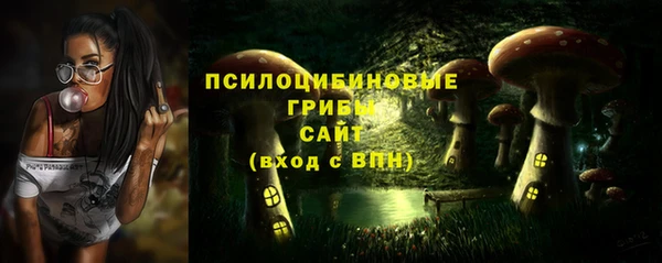 крисы Аркадак