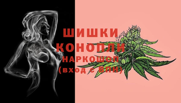 крисы Аркадак