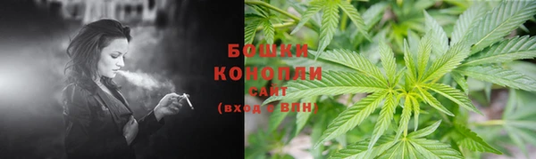 прущие крисы Армянск