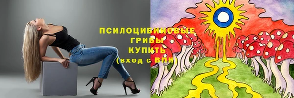 крисы Аркадак